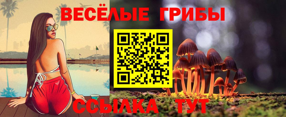Псилоцибиновые грибы GOLDEN TEACHER Рославль