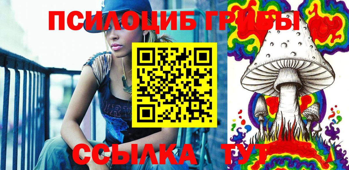 Псилоцибиновые грибы прущие грибы  Вход с VPN  Рославль 